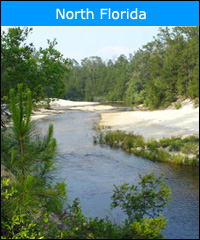 North Florida