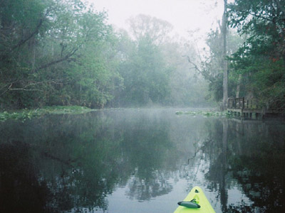 Wekiva River 1