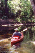 Alafia River;Craig Paddling.