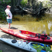 Alafia River;break time.