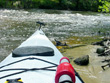 Alafia River Rapids