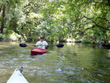 Alafia River Downstream Run