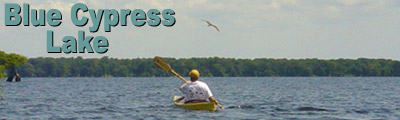 Blue Cypress Lake Banner