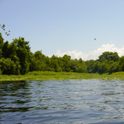 Blue Cypress Lake;Moonshine Bay.