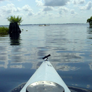 Blue Cypress Lake;Blue Lake;Boat.