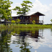 Blue Cypress Lake;Rosette Spoonbill;Blue Cypress Village.