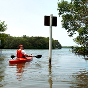 Caladesi;Canoe Trail;Kayaker.