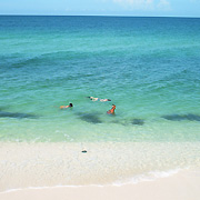 Casey Key;Turtle Beach;Snorkeling.