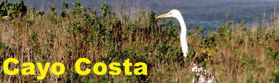 Cayo Costa Banner