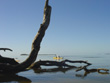 Cedar Keys Snake Key Paddler