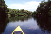 Chassahowitzka; Paddling the river.