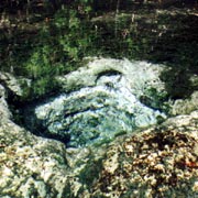 Chassahowitzka;Springs.