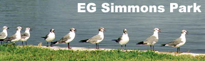 E.G. Simmons Park Banner