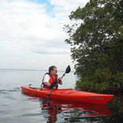 E.G. Simmons Park;Mangrove Waterways