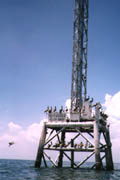 Fort DeSoto;Pelicans;Radio transmitter.