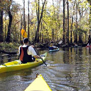 Hillsborough;Hardwood Forests.