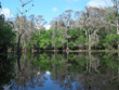 Hillsborough River Reflections