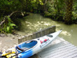 Juniper Springs Canoe Launch