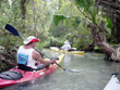 Juniper Springs Jungle Paddle