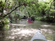 Juniper Springs Spring Run