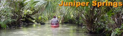 Juniper Springs Banner