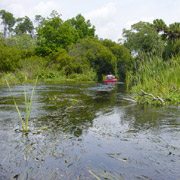 Juniper Springs;Lower run;River.