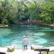 Juniper Springs;Springhead;Pool.