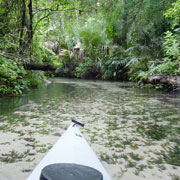 Juniper Springs;Upper run;River.