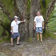 Lake Griffin State Park;Like Oak;Tree.