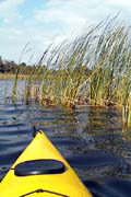 Lake Tarpon;Paddling on the lake.