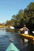 Little Manatee River;Cool but beautiful day.