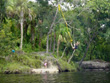 Little Manatee Rope Swing