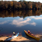 Manatee Springs;Environment.