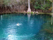 Manatee Springs Springhead