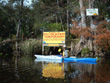 Manatee Springs Yellow Jacket