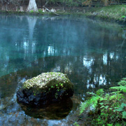 Manatee Springs;Spring.