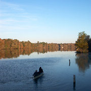 Manatee Springs;Suwannee;Suwannee River.