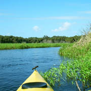 Myakka River;Blackwater.