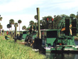 Myakka River Airboats