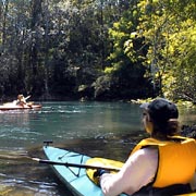 Oklawaha River;Silver River.