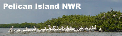 Pelican Island NWR Banner