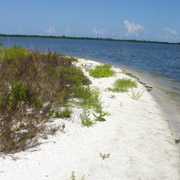 Pelican Island NWR;Pauls Island.