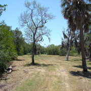 Philippe Park; Secret Park;Hidden Picnic Spot