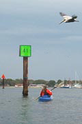 Pithlachascotee River;Channel Marker;US 19.