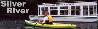 Silver River Banner