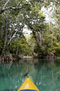 Silver River;Silver Springs;Artesian Spring.