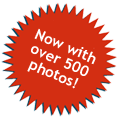 Over 500 Photos!