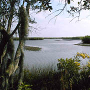 Tampa Bay;UTBP;Double Branch Creek.