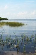 Tampa Bay;UTBP;Mobbly Bay.