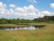 Upper Tampa Bay Park Marsh